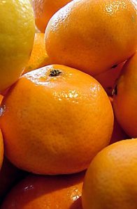 Satsuma and Bourbon Marmalade Image